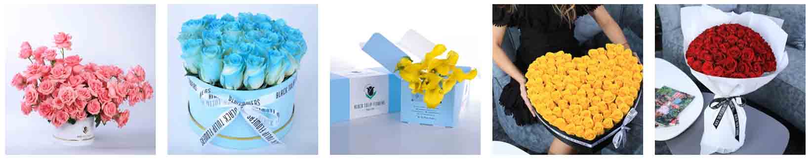 Black Tulip Flowers Codes