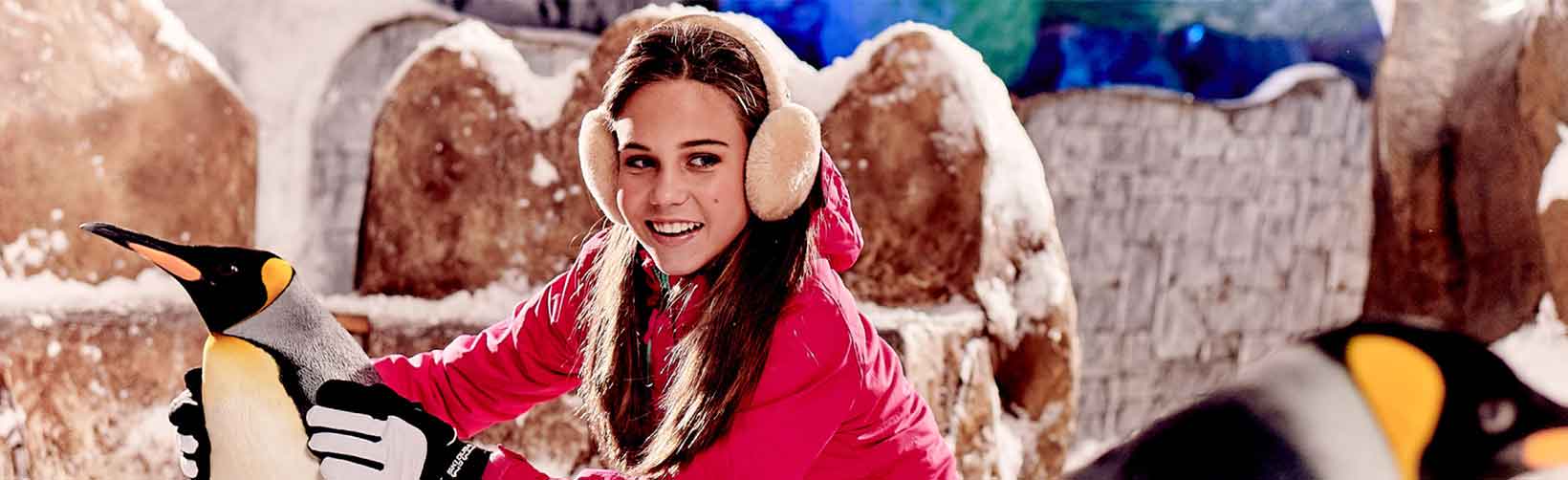 Skidubai offers on Snow penguins